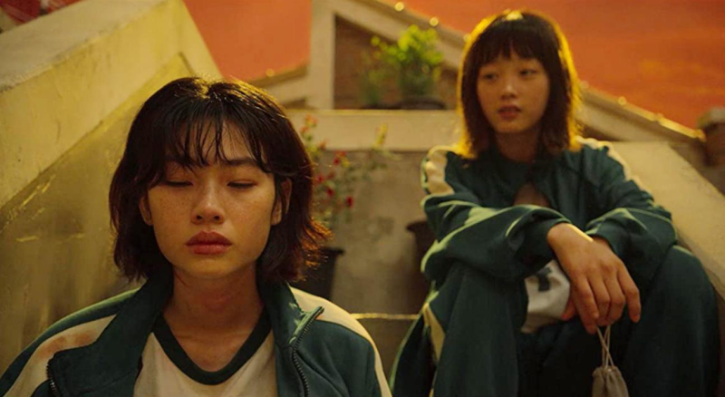 ‘Trò chơi con mực tạo nên ‘cơn sốt’ học tiếng Hàn, quan tâm văn hóa Hàn - ảnh 1