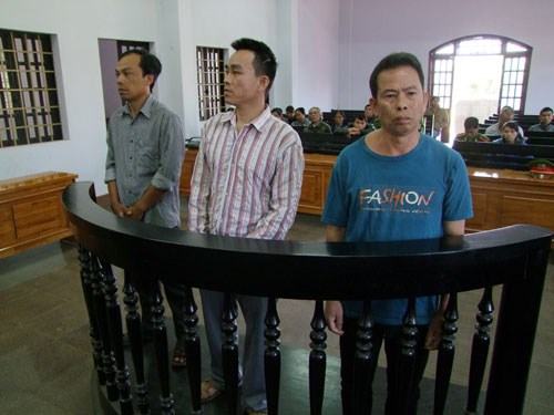 Trồng cần sa để bán, 2 bố con lãnh án