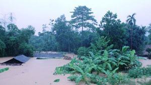 Trung bộ đề phòng sạt lở đất và ngập úng