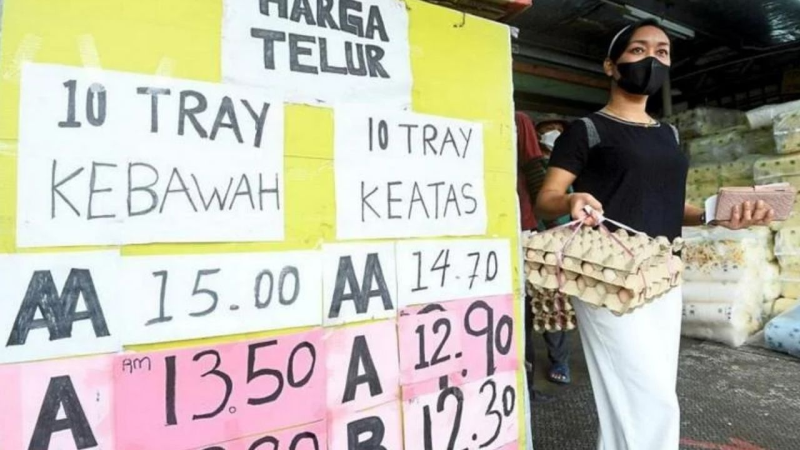 Trứng ở Malaysia trước nguy cơ tăng giá vì nông trại cắt giảm sản lượng - ảnh 1