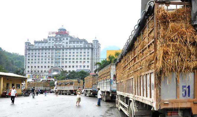 Nông sản VN xuất sang Trung Quốc tại cửa khẩu Tân Thanh (Lạng Sơn) /// Ảnh: Hà An