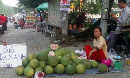 Nếu các năm trước Trung Quốc ồ ạt nhập bưởi da xanh Việt thì năm nay họ giảm thu mua. Ảnh: Hồng Châu.