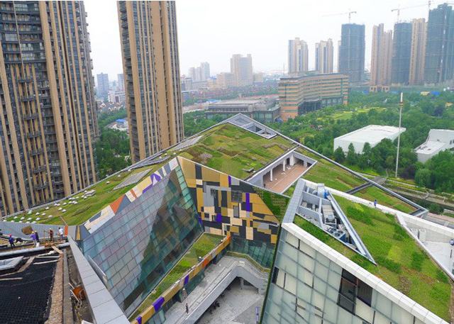 Trung Quốc xây dựng 30 ‘thành phố bọt biển’ chống lũ - Ảnh 2.