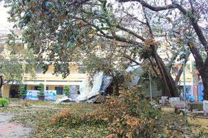 Trường học kiệt quệ sau bão Nari