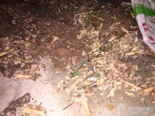 Trường học Trung Quốc dùng xương gà thối nấu canh cho học sinh