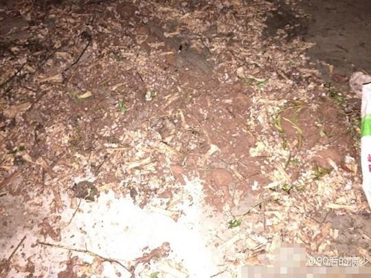 Trường học Trung Quốc dùng xương gà thối nấu canh cho học sinh