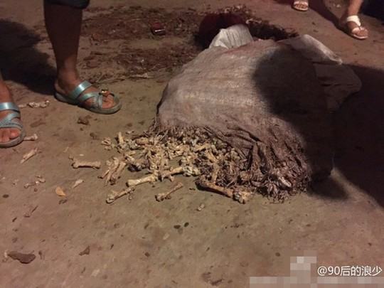 Trường học Trung Quốc dùng xương gà thối nấu canh cho học sinh