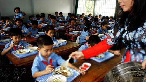 Trường học xoay trở với tiền ăn