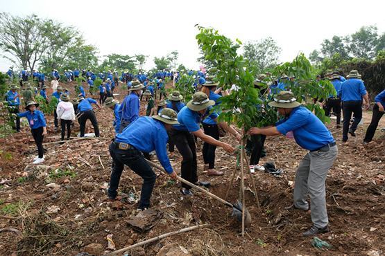 336 thanh niên tiên tiến làm theo lời Bác