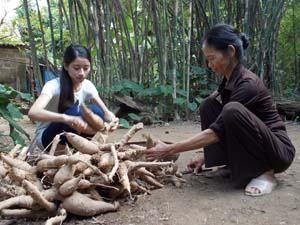 Ước mơ đầu năm của một du học sinh