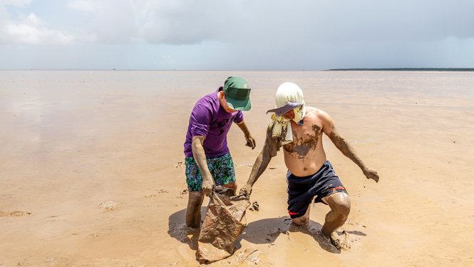 Về với hoang sơ tát mương bắt cá đồng 