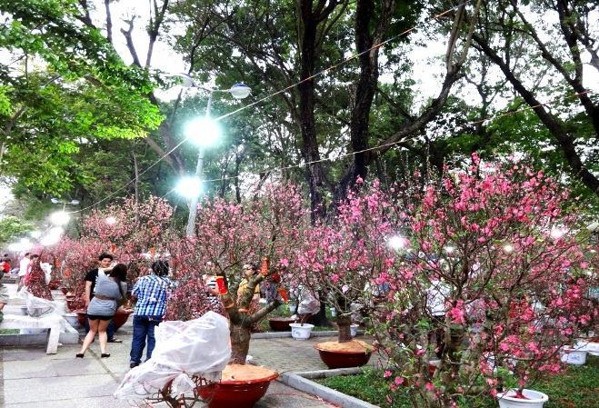 Tổ chức thi tuyển ý tưởng kiến trúc Công viên 23 Tháng 9