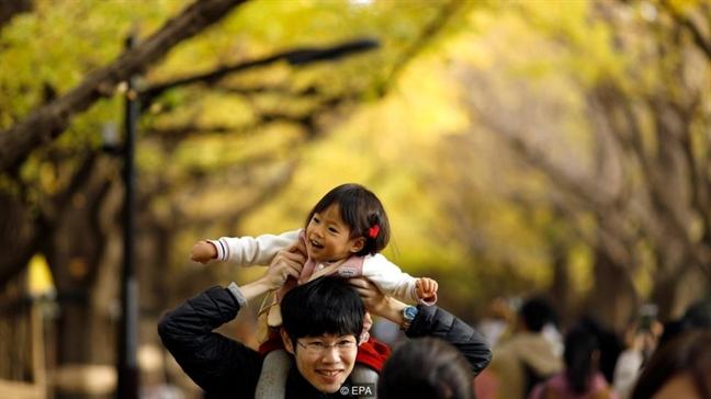 Vi sao dan ong lam noi tro duoc ton vinh nhu sieu anh hung tai Nhat Ban?