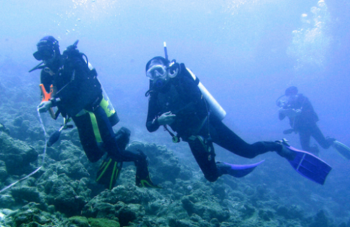 Các cán bộ Khu bảo tồn biển Cù Lao Chàm triển khai khoanh vùng khu vực biển Rạn Mè để làm vườn ươm san hô. Ảnh: Khu BTB Cù Lao Chàm.