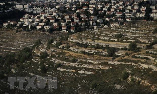 Viet Nam keu goi Israel ngung viec mo rong cac khu dinh cu hinh anh 1