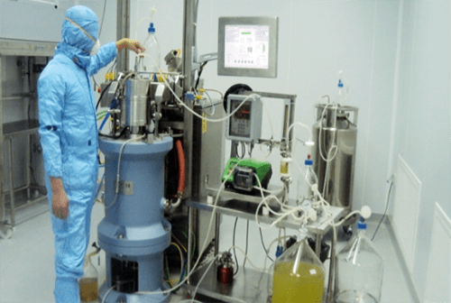 Các chuyên gia trong quá trình nghiên cứu văcxin. Ảnh: Phước An