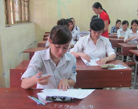 “Vỡ bụng” với bài Văn tốt nghiệp chép “Kiếp ve sầu”