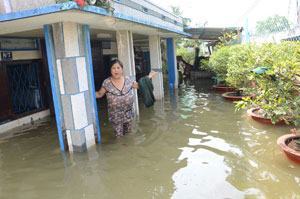 Vỡ đê, “lũ” về Sài Gòn