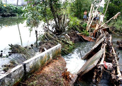 Vỡ đê ở TP HCM, hàng trăm hộ dân hoảng loạn