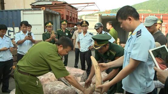 Xử lý nghiêm việc buôn bán ngà voi, sừng tê giác