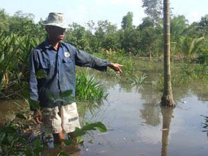 Vượt mức báo động 3, triều cường sẽ gây ngập nặng