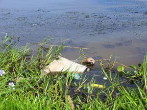 Xác chết trên sông có nhiều nghi vấn