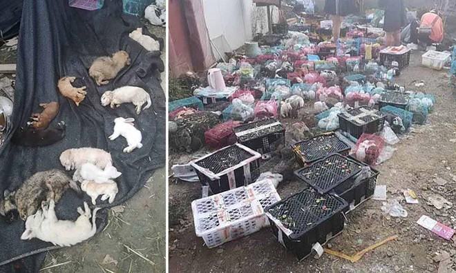 Thảm cảnh tại nơi trung chuyển hàng hóa /// Weibo