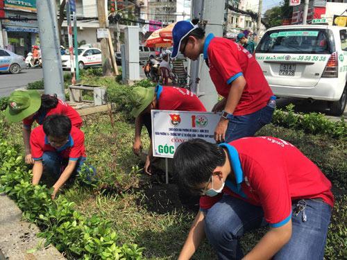 Chiến sĩ Hoa phượng đỏ cải tạo “Góc phố xanh”