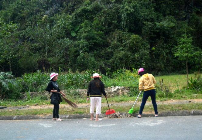 Xem hoa tam giác mạch mọc bên vệ đường  