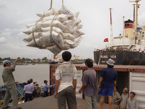 Xuất khẩu gạo sang Trung Quốc ẩn chứa nhiều rủi ro về thanh toán
