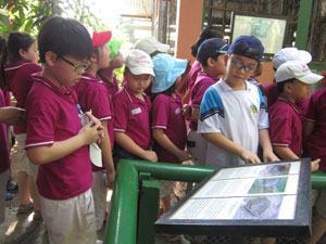 Yêu động vật hơn qua tham quan thực tế