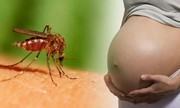 Việt Nam phát hiện 2 ca nhiễm virus Zika đầu tiên