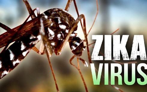 TP.HCM: Thêm 2 trường hợp mới nhiễm virus Zika