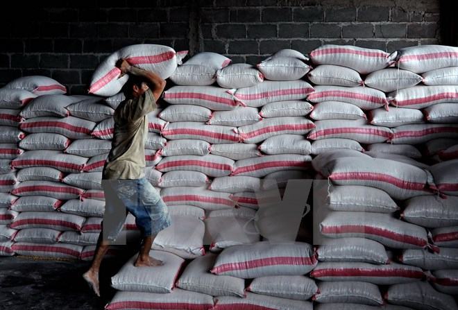 Zimbabwe nhập khẩu 700.000 tấn ngô để ngăn chặn nạn đói