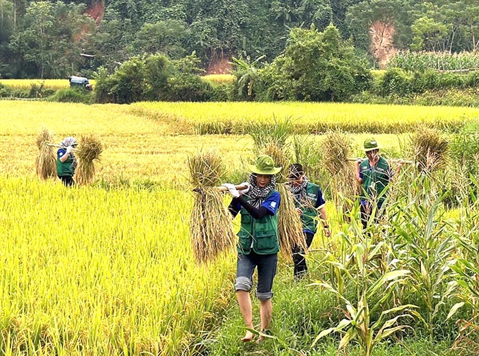 Thanh niên tình nguyện TP.HCM: Chung tay tái thiết cuộc sống cho bà con vùng lũ