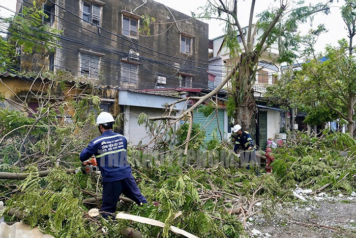 TP.HCM bố trí lực lượng đến hỗ trợ khắc phục hậu quả bão số 3 tại các tỉnh phía Bắc