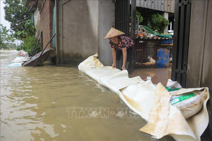 Bộ Y tế: Đảm bảo đủ thuốc cho các tình huống y tế bị ảnh hưởng bão, lũ