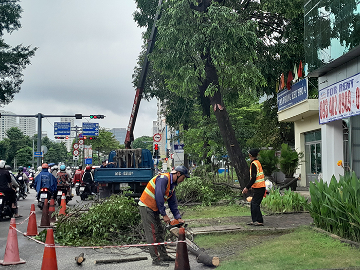 Hội thi tay nghề thanh niên TP.HCM “Bàn tay vàng vì thành phố sạch, xanh”