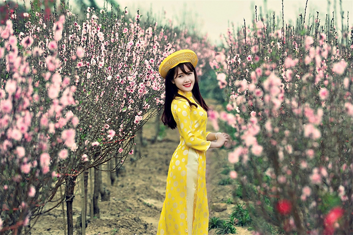 Ngàn năm còn mãi xuân xanh