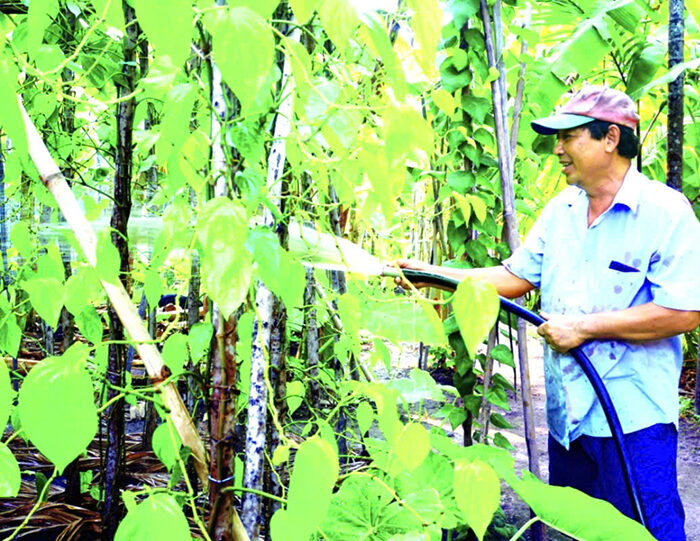 Tìm về nơi hội tụ của những giá trị văn hóa, con người Sài Gòn – Gia Định