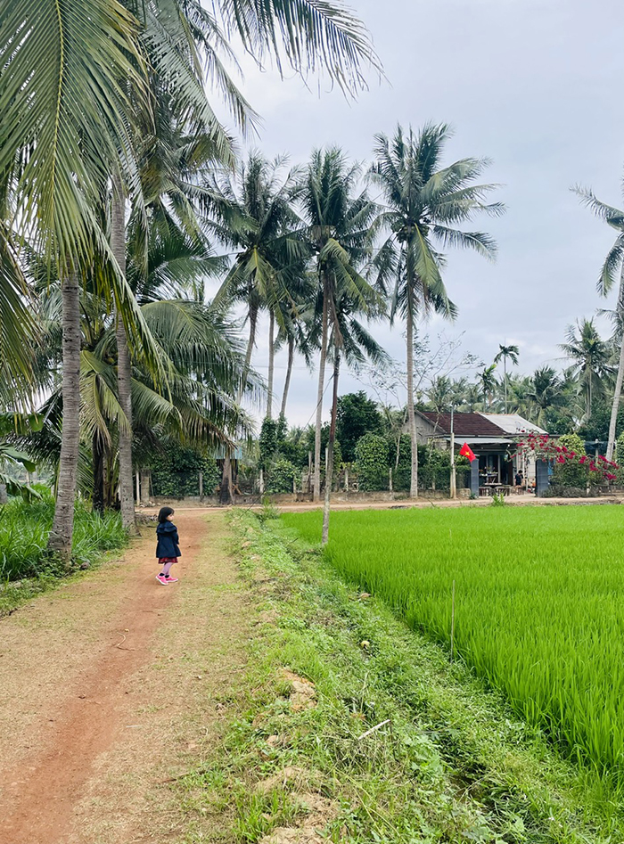 Mùa xuân chưa xa nơi xứ dừa miền Trung