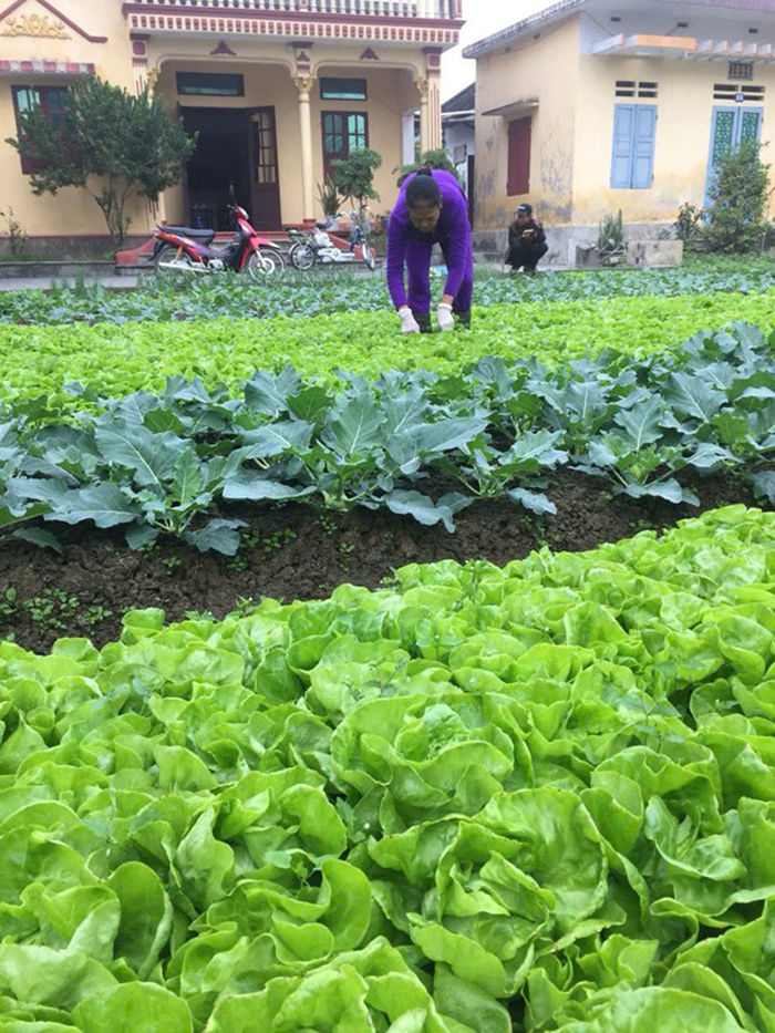 Điểm cuối cùng cũng là điểm xuất phát