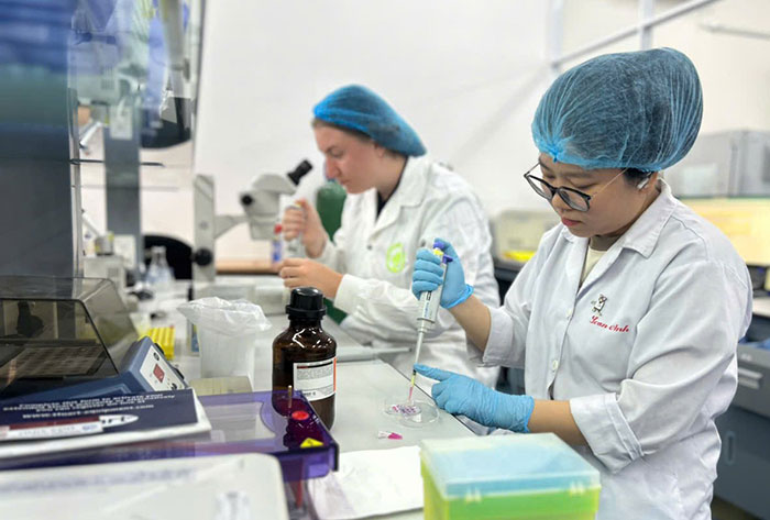 Sinh viên được thực tập có trả lương khi dự cuộc thi “Tác động bền vững” do 4 trường ĐH cùng tổ chức