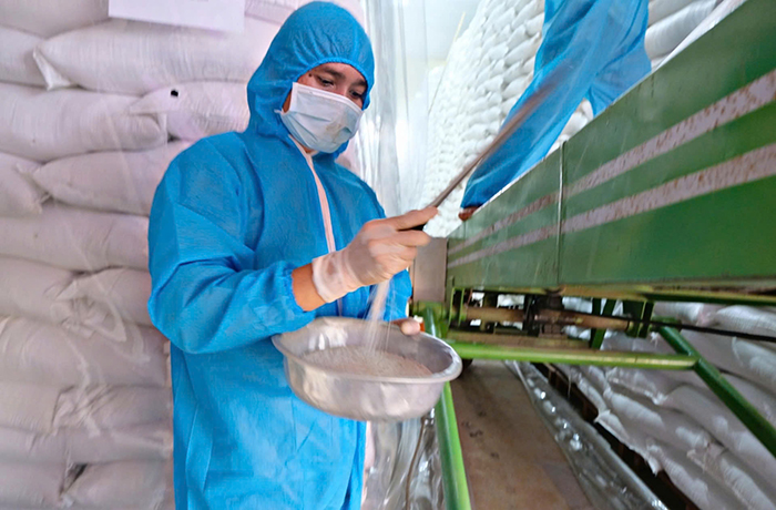 Lâm Đồng: Cấp hơn 86 tấn gạo hỗ trợ học sinh khó khăn trong tỉnh