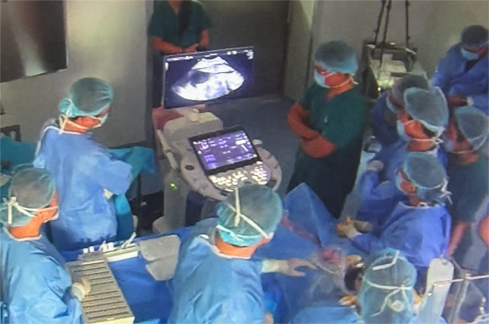 TP.HCM: Can thiệp thông tim bào thai thành công cho một sản phụ người Singapore