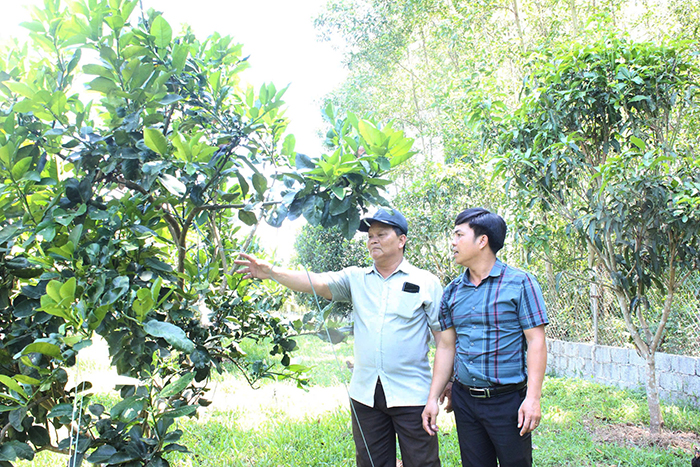 Đà Nẵng kiên trì mục tiêu giảm nghèo và xây dựng nông thôn mới