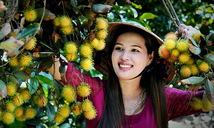 Trải nghiệm mùa trái cây phương Nam