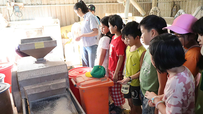 Con lớn lên cùng mùa hạ