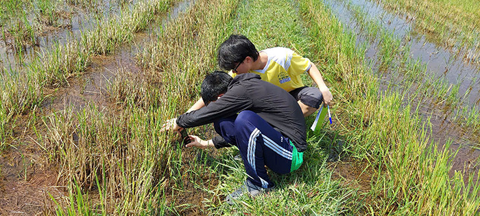 Học sinh dùng AI nhận diện và xử lý sâu bệnh trên cây trồng