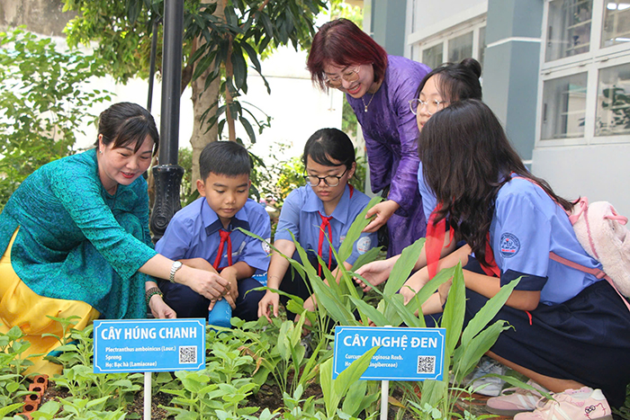 Dạy học 2 buổi/ngày không còn phân biệt chính khóa, ngoại khóa